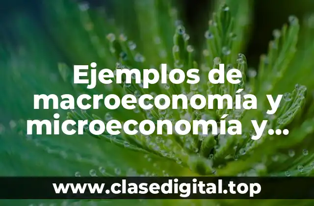 Ejemplos de macroeconomía y microeconomía y Significado