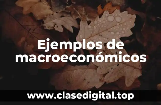 Ejemplos de macroeconómicos