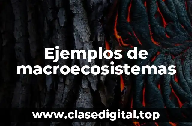 Ejemplos de macroecosistemas