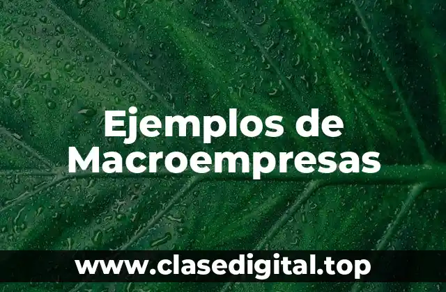 Ejemplos de Macroempresas