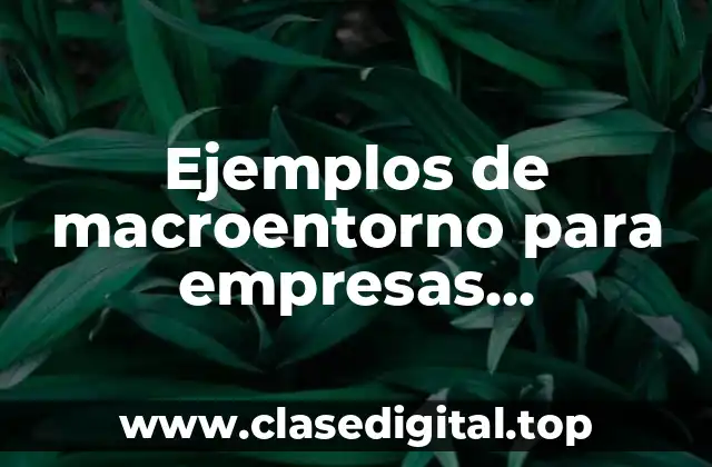 Ejemplos de macroentorno para empresas agroindustriales
