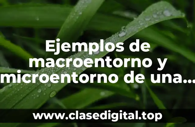 Ejemplos de macroentorno y microentorno de una empresa