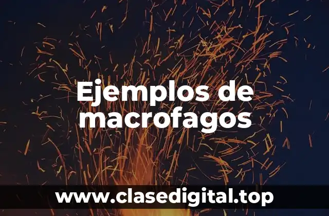 Ejemplos de macrofagos