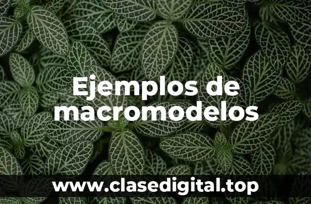 Ejemplos de macromodelos