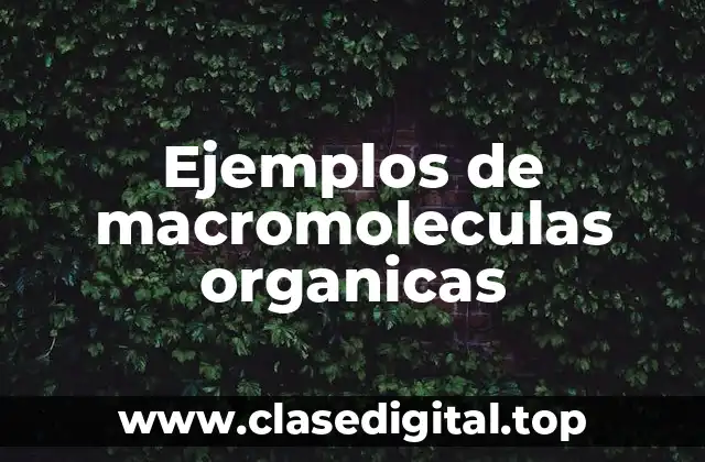 Ejemplos de macromoleculas organicas