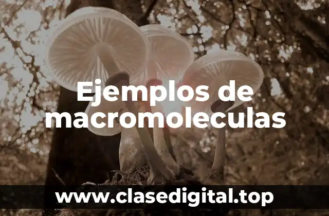 Ejemplos de macromoléculas