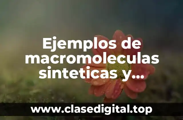 Ejemplos de macromoleculas sinteticas y Significado