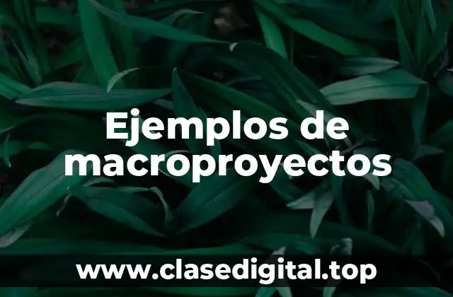 Ejemplos de macroproyectos