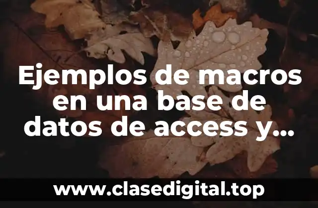 Ejemplos de macros en una base de datos de access y Significado