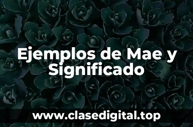 Ejemplos de Mae y Significado