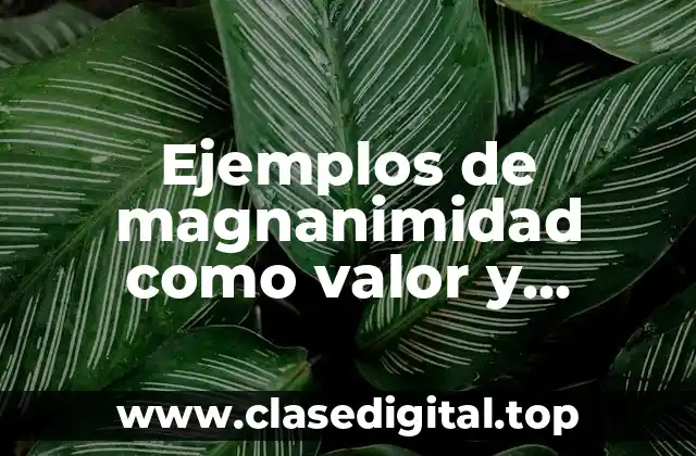 Ejemplos de magnanimidad como valor y Significado