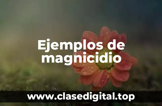 Ejemplos de magnicidio