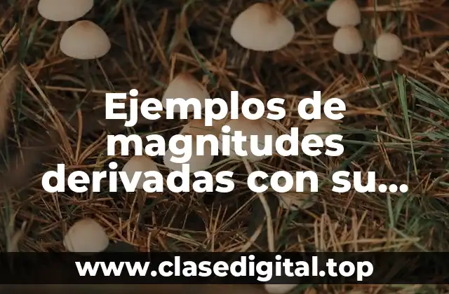 Ejemplos de magnitudes derivadas con su simbolo y significado