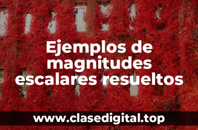 Ejemplos de magnitudes escalares resueltos