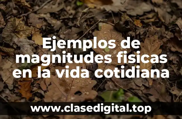 Ejemplos de magnitudes fisicas en la vida cotidiana