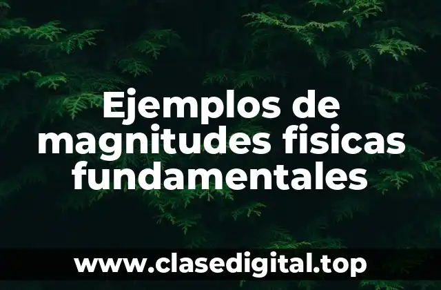 Ejemplos de magnitudes fisicas fundamentales
