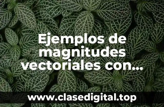 Ejemplos de magnitudes vectoriales con gráficas