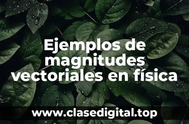 Ejemplos de magnitudes vectoriales en física