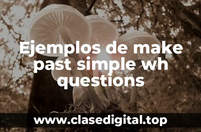 Ejemplos de make past simple wh questions
