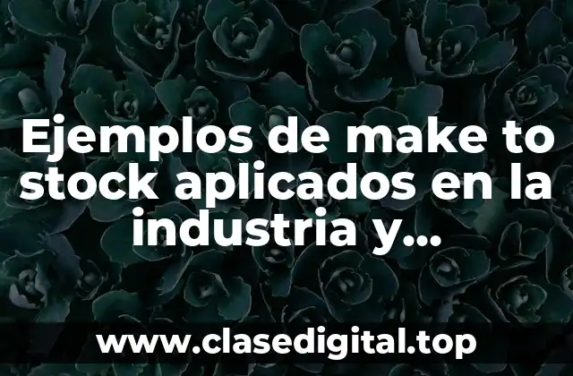 Ejemplos de make to stock aplicados en la industria y Significado