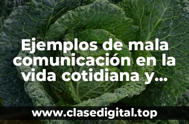 Ejemplos de mala comunicación en la vida cotidiana y Significado