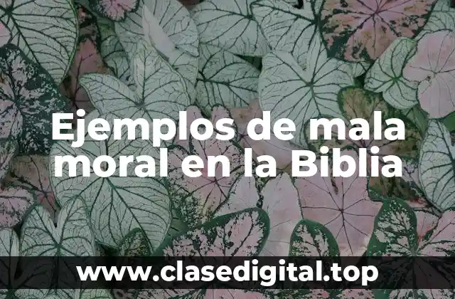 Ejemplos de mala moral en la Biblia