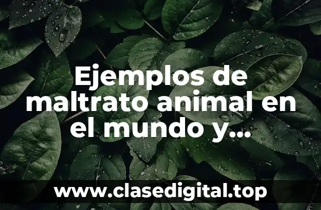 Ejemplos de maltrato animal en el mundo y Significado