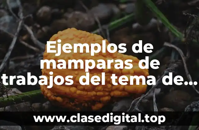 Ejemplos de mamparas de trabajos del tema de derecho civil