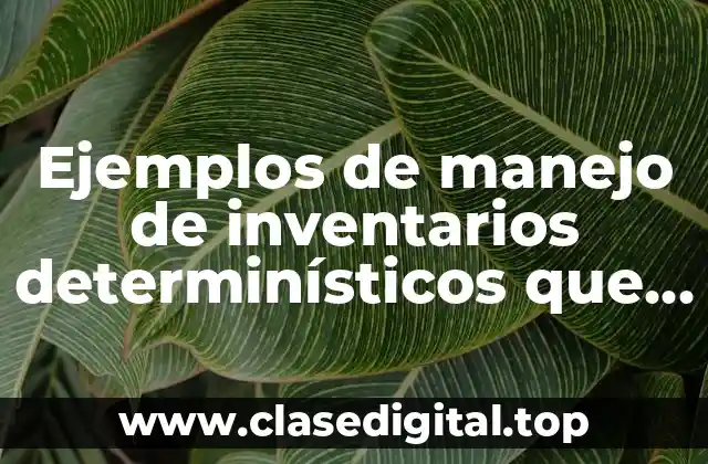 Ejemplos de manejo de inventarios determinísticos que incluyan stock