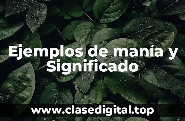 Ejemplos de manía y Significado