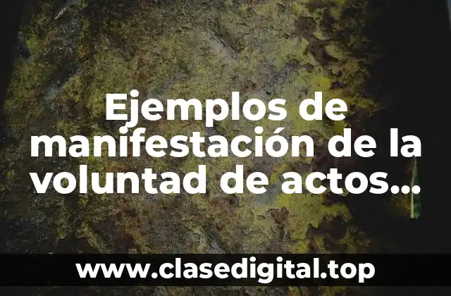 Ejemplos de manifestación de la voluntad de actos comerciales y Significado