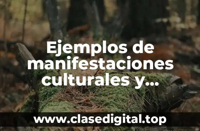 Ejemplos de manifestaciones culturales y Significado