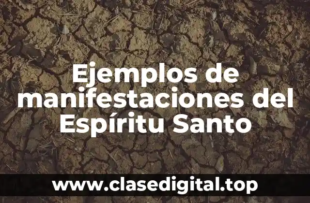 Ejemplos de manifestaciones del Espíritu Santo