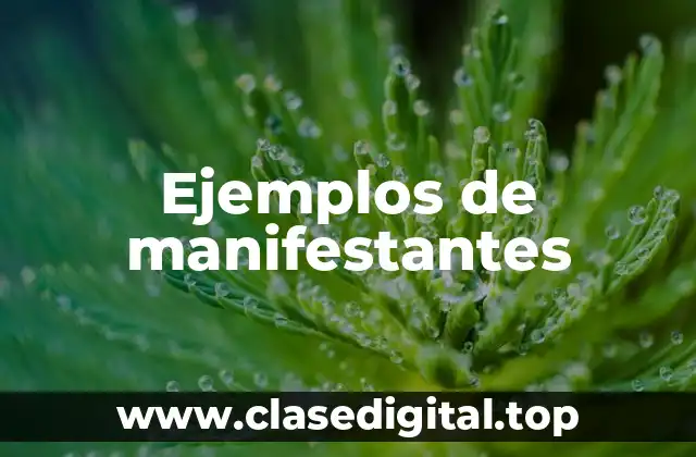 Ejemplos de manifestantes