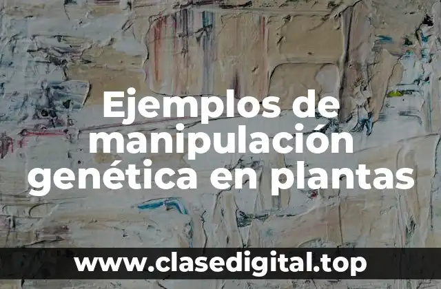 Ejemplos de manipulación genética en plantas