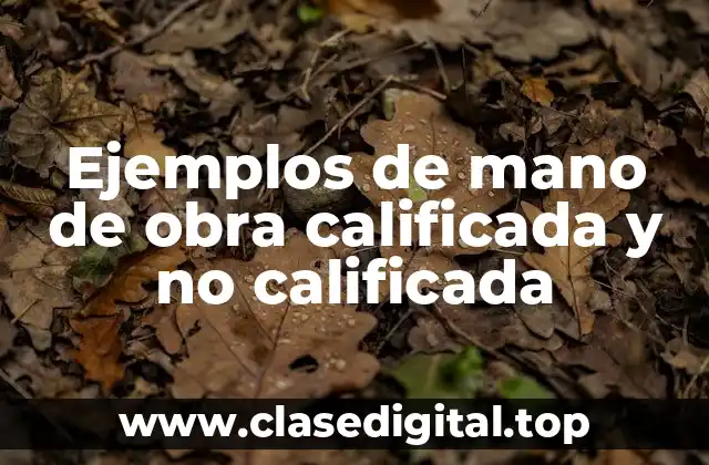 Ejemplos de mano de obra calificada y no calificada