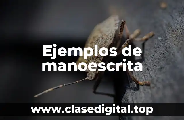 Ejemplos de manoescrita