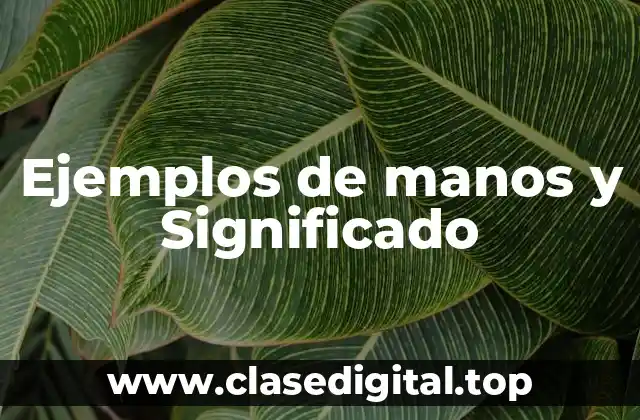 Ejemplos de manos y Significado