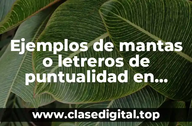 Ejemplos de mantas o letreros de puntualidad en preescolar