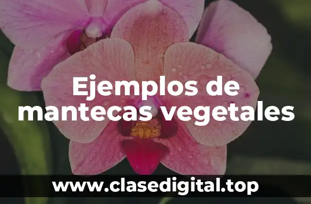 Ejemplos de mantecas vegetales
