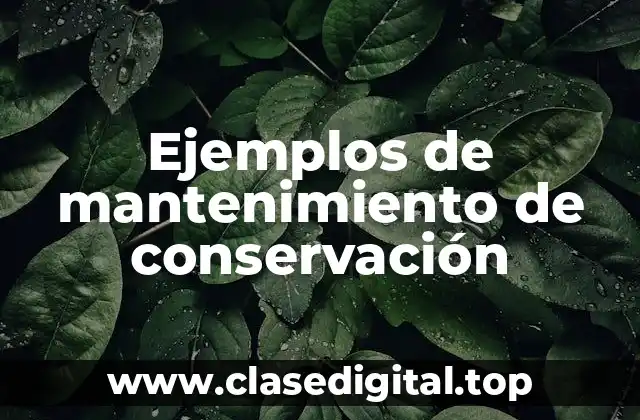 Ejemplos de mantenimiento de conservación