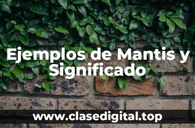 Ejemplos de Mantis y Significado