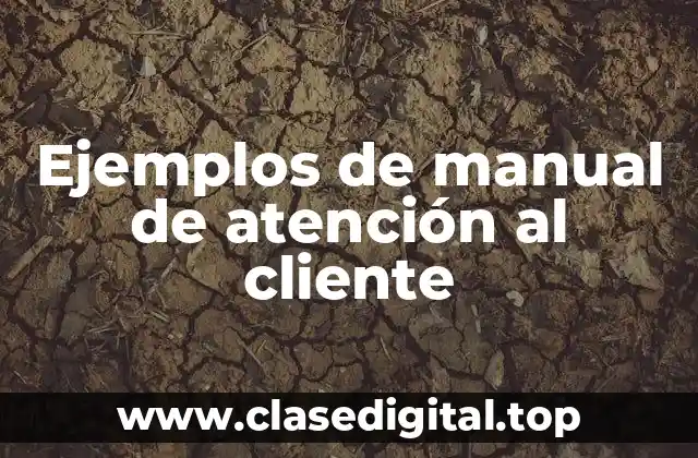 Ejemplos de manual de atención al cliente