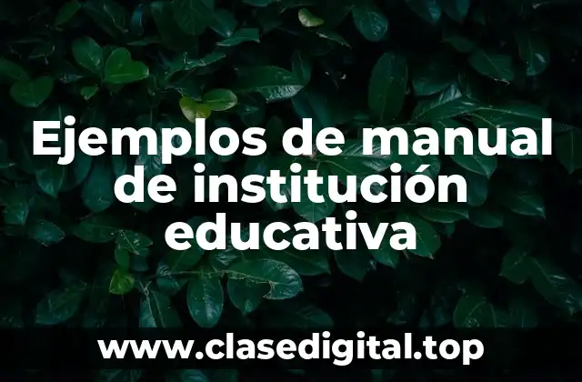 Ejemplos de manual de institución educativa