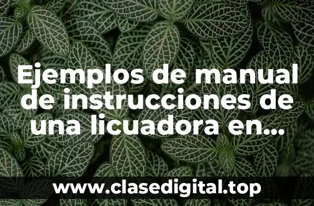 Ejemplos de manual de instrucciones de una licuadora en inglés