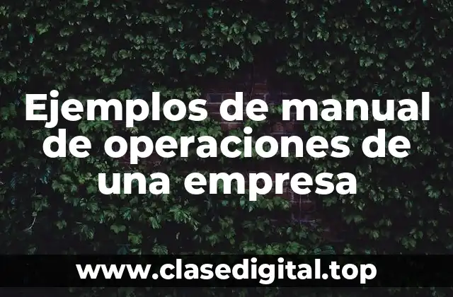 Ejemplos de manual de operaciones de una empresa