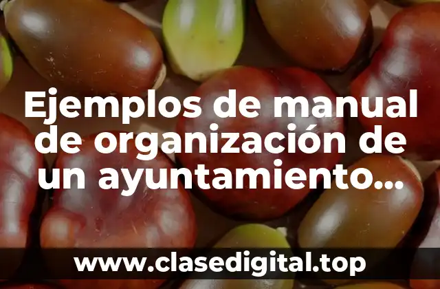Ejemplos de manual de organización de un ayuntamiento municipal y Significado