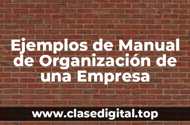 Ejemplos de Manual de Organización de una Empresa