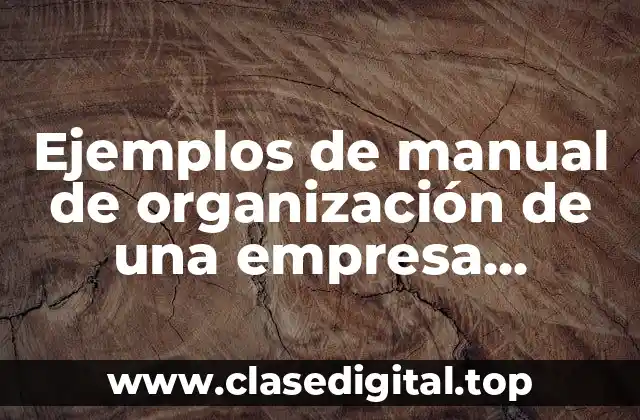 Ejemplos de manual de organización de una empresa pequeña
