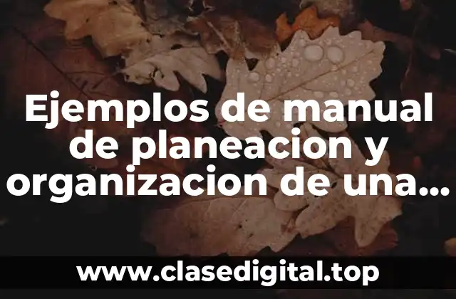 Ejemplos de manual de planeacion y organizacion de una empresa